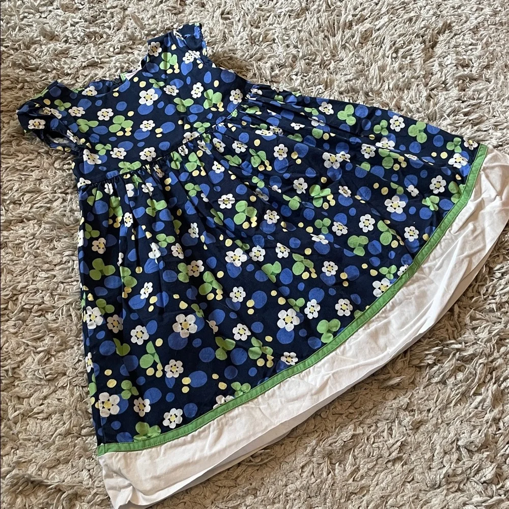 2010 Gymboree “Flower Showers” Daisy Dot Dress, Size 4T